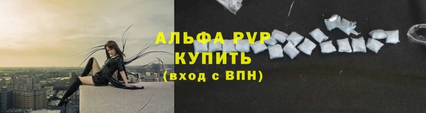 ПСИЛОЦИБИНОВЫЕ ГРИБЫ Белокуриха